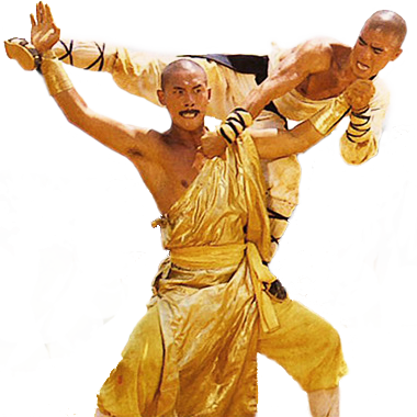 Shaolin vs Lama